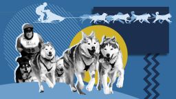 Быстро и яростно: собака неожиданно дебютировала на Олимпийских играх во время финиша лыжных гонок.