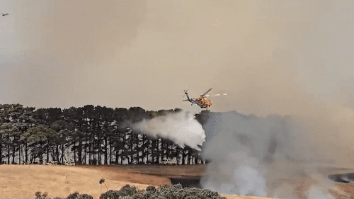 Для оказания помощи пожарным Южной Австралии в борьбе с масштабным лесным пожаром привлечены бригады из других штатов.
