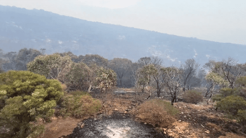 Для оказания помощи пожарным Южной Австралии в борьбе с масштабным лесным пожаром привлечены бригады из других штатов.