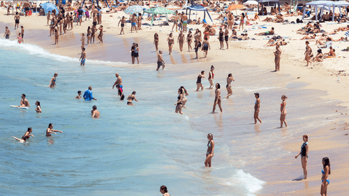 Явление Ла-Нинья подходит к концу, а эксперты указывают на возможность возникновения Эль-Ниньо в течение нескольких месяцев.