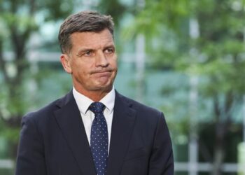 Смена лидера Либеральной партии подтверждена накануне экстренного заседания партийного собрания.