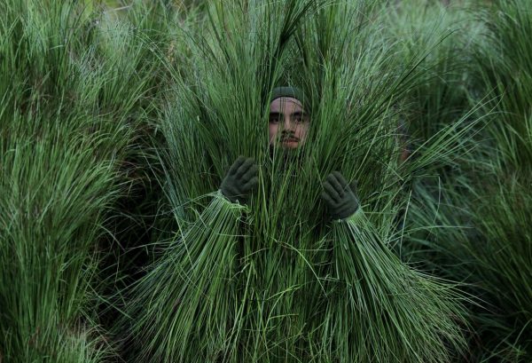 «Это настоящие отморозки»: защита «Сиэтла» разгромила «Патриотов» в матче, который войдет в историю Супербоула.