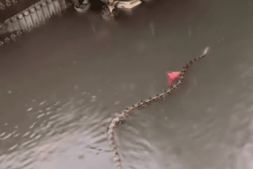 Крупнейший туристический центр Австралии пострадал от проливных дождей и внезапных наводнений.