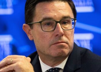 Лидер Национальной партии Дэвид Литтлпроуд избежал поражения на выборах лидера партии, несмотря на неудачную попытку переизбрания.