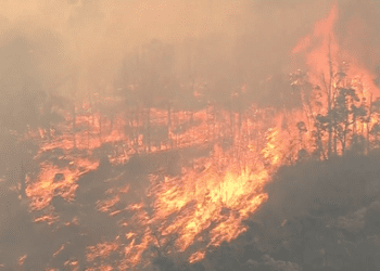 «Как повезло»: дома уцелели после того, как пламя опасно приблизилось к домам в Перте. «Как повезло»: дома уцелели после того, как пламя опасно приблизилось к домам в Перте.