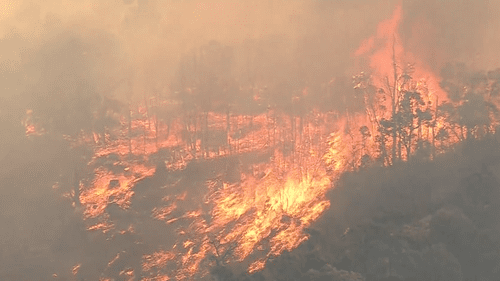 «Как повезло»: дома уцелели после того, как пламя опасно приблизилось к домам в Перте. «Как повезло»: дома уцелели после того, как пламя опасно приблизилось к домам в Перте.