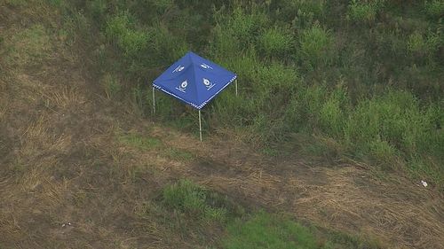 В ходе поисков похищенного дедушки из Сиднея были найдены останки.