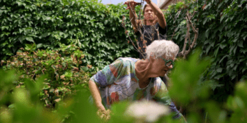 У соседей по комнате Макса и Лори разница в возрасте 54 года. Они являются частью растущей тенденции.