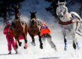 Скиджоринг: дикое сочетание лошадей и лыж, ставшее первым показательным видом спорта на зимних Олимпийских играх.