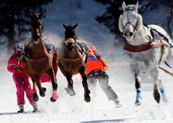 Скиджоринг: дикое сочетание лошадей и лыж, ставшее первым показательным видом спорта на зимних Олимпийских играх. Скиджоринг: дикое сочетание лошадей и лыж, ставшее первым показательным видом спорта на зимних Олимпийских играх.
