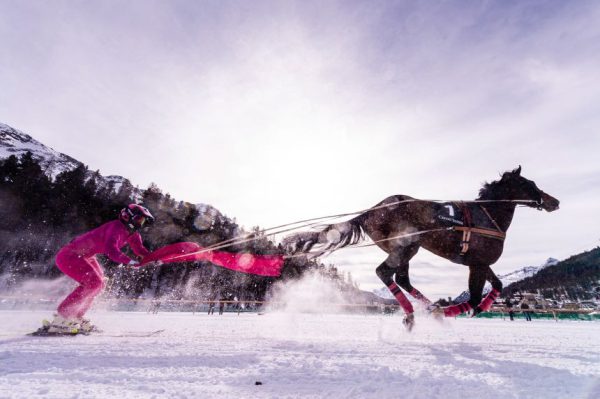 Скиджоринг: дикое сочетание лошадей и лыж, ставшее первым показательным видом спорта на зимних Олимпийских играх.