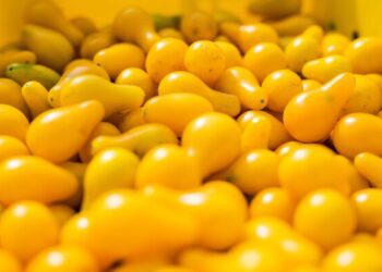 Неожиданный случай: акула впервые попала в объектив камеры в почти ледяной глубине Антарктиды.