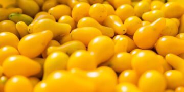 Неожиданный случай: акула впервые попала в объектив камеры в почти ледяной глубине Антарктиды.