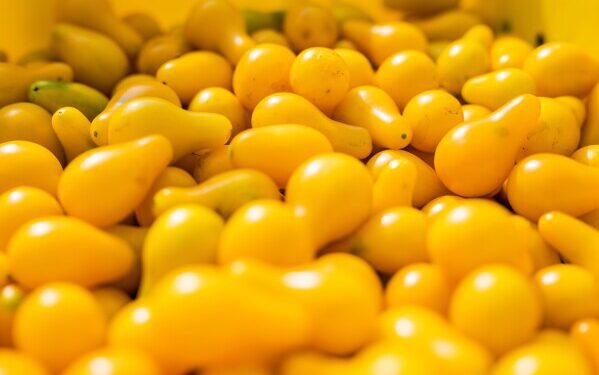 Неожиданный случай: акула впервые попала в объектив камеры в почти ледяной глубине Антарктиды.