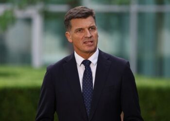 Тейлор уходит с поста в правительстве, чтобы начать борьбу за лидерство в Либеральной партии с Леем.