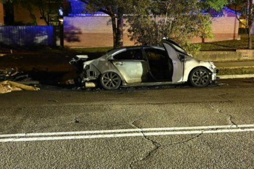 Сгоревший автомобиль был установлен следами преступления в ходе поисков похищенного дедушки.