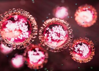 В Сиднее подтверждены еще два случая высокозаразного заболевания. В Сиднее подтверждены еще два случая высокозаразного заболевания.