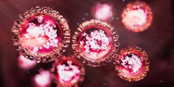 В Сиднее подтверждены еще два случая высокозаразного заболевания.