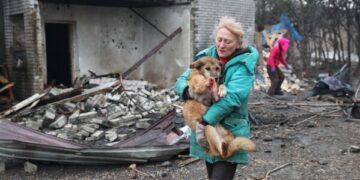 США установили для Украины и России крайний срок — июнь — для достижения соглашения о прекращении войны, заявил Зеленский.