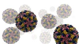 Олимпийский комитет США продолжает принимать все необходимые меры для предотвращения распространения желудочного заболевания на зимних Играх.