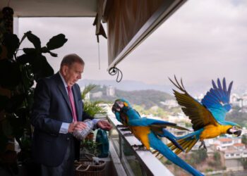 Тихий лидер венесуэльской оппозиции: почему Эдмундо Гонсалес находится в стороне от борьбы за власть.