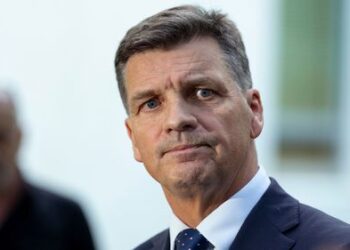 Кто такой Ангус Тейлор? Человек, который отвоевал лидерство в Либеральной партии у Сьюзан Лей.