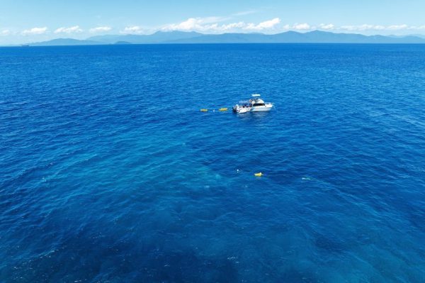 Крупнейшая в мире коралловая колония обнаружена у берегов Австралии командой матери и дочери.