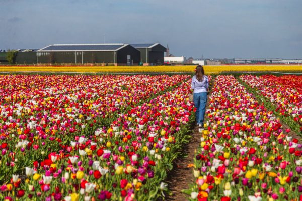 Скандинавская страна девятый год подряд признана самой счастливой страной в мире.