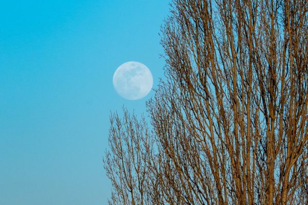 Полное лунное затмение окрасит Луну в красный цвет. Вот как это наблюдать.