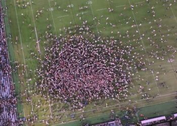 Албанезе говорит, что риск штрафа «стоит того», чтобы присоединиться к празднованию, когда Алекс Джонстон вошел в историю NRL.