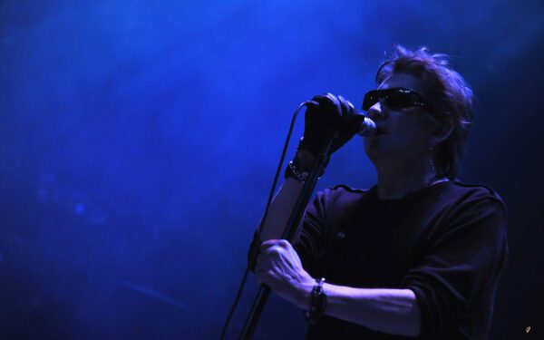 Брюс Спрингстин, Том Уэйтс и другие почтили память Шейна Макгоуэна трибьют-альбомом «20th Century Paddy».