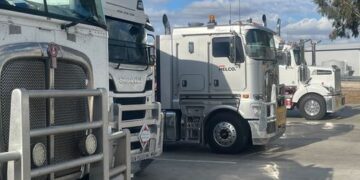 «Бизнес разоряется прямо сейчас»: Транспортное ведомство раскритиковало план Альбо по преодолению топливного кризиса.