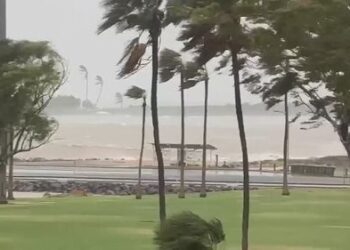 Циклон Нарелле усиливается по мере приближения к побережью Западной Австралии, превращаясь в шторм 4-й категории. Циклон Нарелле усиливается по мере приближения к побережью Западной Австралии, превращаясь в шторм 4-й категории.