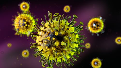 Тревожное предупреждение: 60 человек потенциально погибли от штамма гриппа Super-K. Тревожное предупреждение: 60 человек потенциально погибли от штамма гриппа Super-K.