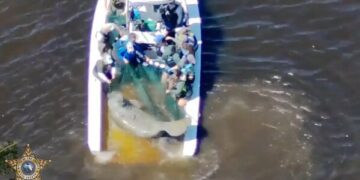 Министерство юстиции США подало в суд на материнскую компанию SeaWorld из-за запрета на использование ходунков на колесах в их парках.