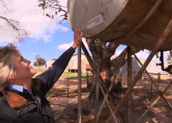 Двойной удар для пострадавшего от лесных пожаров населенного пункта: воры нацелились на фермеров, чтобы завладеть топливом.