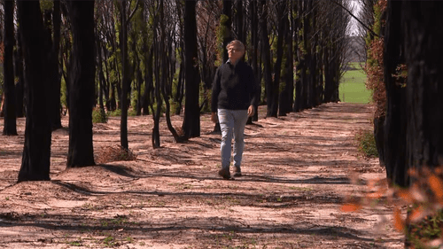 Двойной удар для пострадавшего от лесных пожаров населенного пункта: воры нацелились на фермеров, чтобы завладеть топливом.