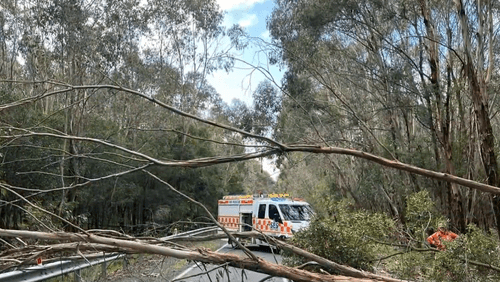 Рейсы отменены в связи с приближением погодного явления, случающегося раз в 50 лет.