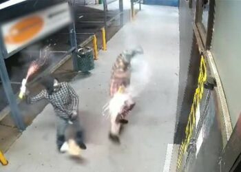 Неуклюжие поджигатели чуть не подожгли себя во время поджога.