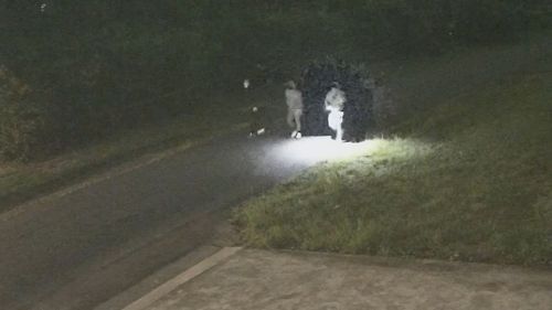 Раскрыта личность «главного фигуранта», обвиняемого в убийстве дедушки из Сиднея.