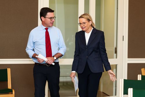 «Мне конец, приятель»: лидер Национальной партии объявил о неожиданной отставке