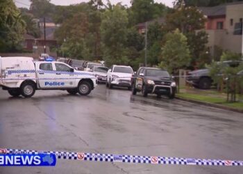 Полиция сообщает, что мужчина был «зарезан» в доме друзей в Сиднее после ссоры.