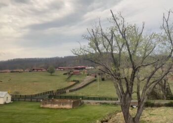 Ночной поезд из Джорджии: вид на Америку с железнодорожных путей, в то время как аэропорты испытывают трудности из-за приостановки работы.