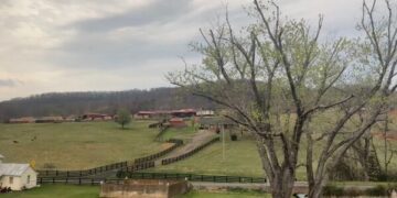 Ночной поезд из Джорджии: вид на Америку с железнодорожных путей, в то время как аэропорты испытывают трудности из-за приостановки работы.