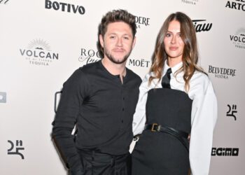 Найл Хоран говорит, что «надеется, что остаток своей жизни он проведет со своей девушкой Амелией Вулли, которая вдохновила его на создание нового альбома».