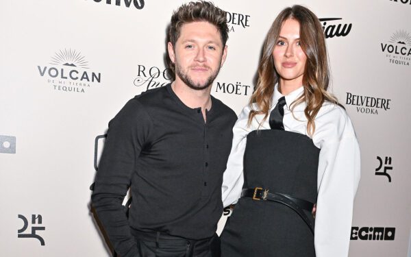 Найл Хоран говорит, что «надеется, что остаток своей жизни он проведет со своей девушкой Амелией Вулли, которая вдохновила его на создание нового альбома».