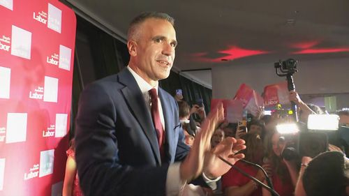 Партия One Nation войдет в нижнюю палату парламента Южной Австралии после резкого роста поддержки на выборах.