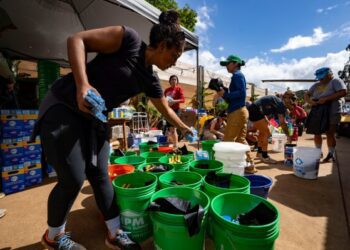 По данным Национального совета по безопасности на транспорте (NTSB), за несколько секунд до крушения в аэропорту Ла-Гуардия диспетчер разрешил пожарной машине пересечь взлетно-посадочную полосу.