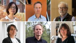 Шесть федеральных ученых, уволенных Трампом, рассказывают о незавершенной работе.