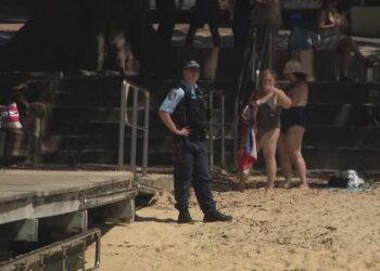 На популярном пляже Сиднея предположительно замечены акулы в огороженной сеткой зоне.